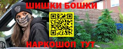 гидра Беслан