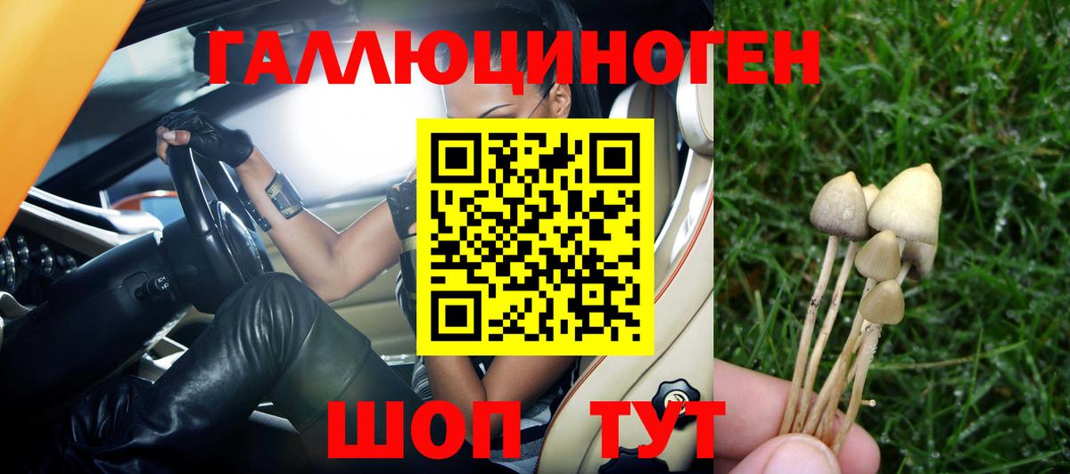 Псилоцибиновые грибы Psilocybine cubensis  Вход с VPN  Кировск 